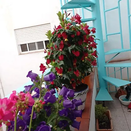 Beau Duplex Plus Terrasse Vu Sur La Mer En Centre Sant Carles De La Rapita